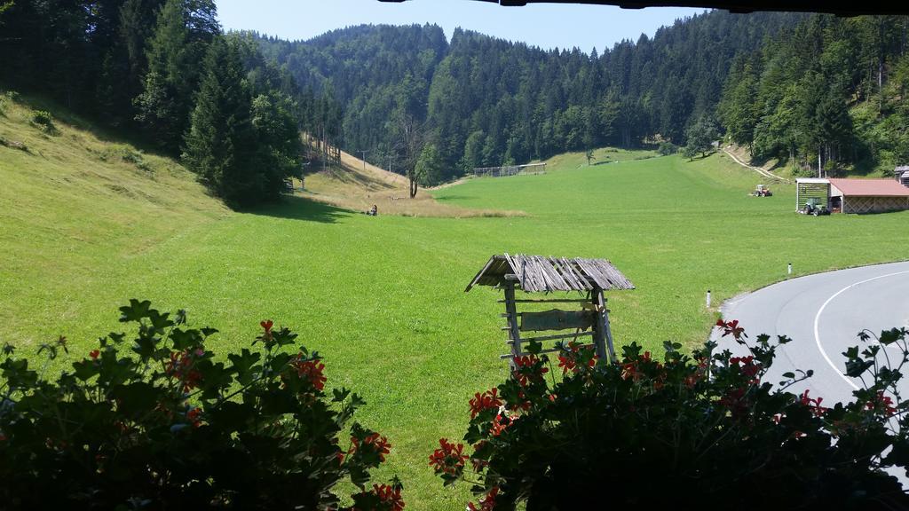 Brunarica Bled Zatrnik Pokljuka Pokoj fotografie
