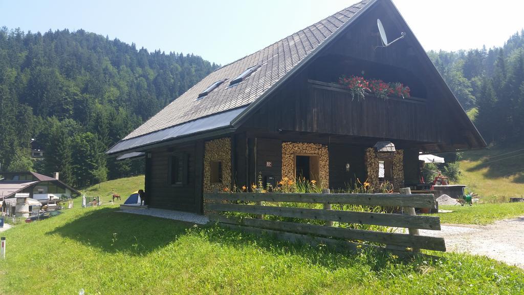 Brunarica Bled Zatrnik Pokljuka Pokoj fotografie