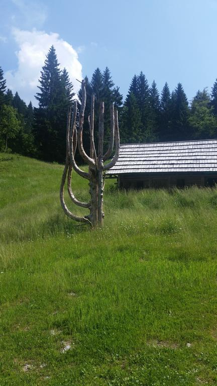 Brunarica Bled Zatrnik Pokljuka Exteriér fotografie