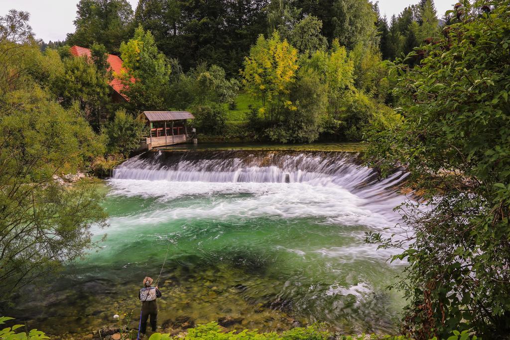 Brunarica Bled Zatrnik Pokljuka Exteriér fotografie