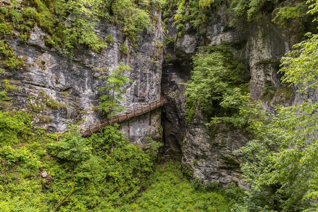 Brunarica Bled Zatrnik Pokljuka Exteriér fotografie