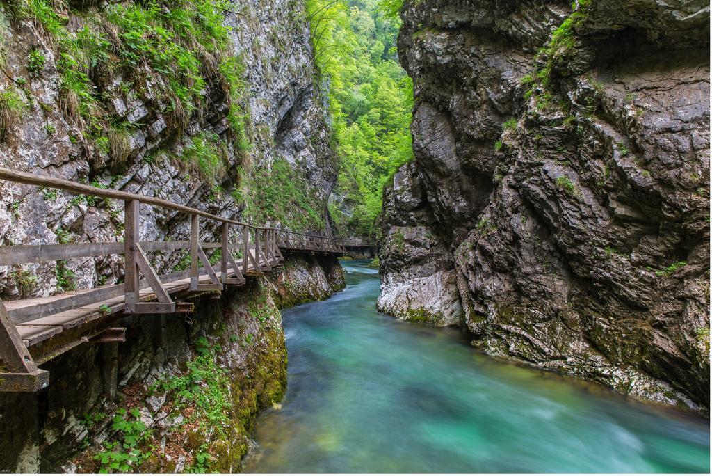 Brunarica Bled Zatrnik Pokljuka Exteriér fotografie