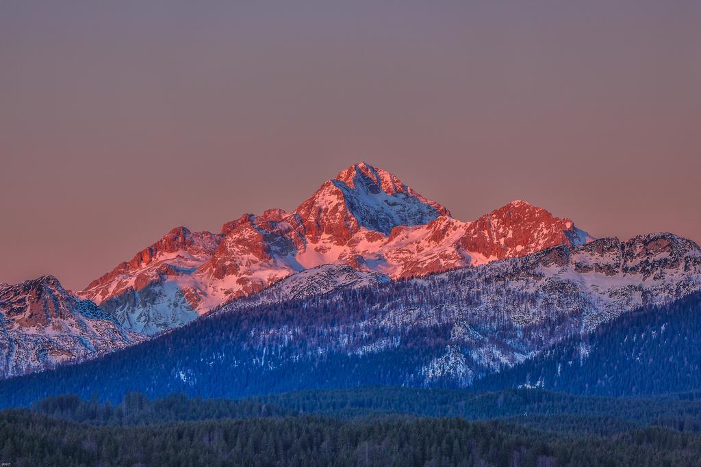 Brunarica Bled Zatrnik Pokljuka Exteriér fotografie