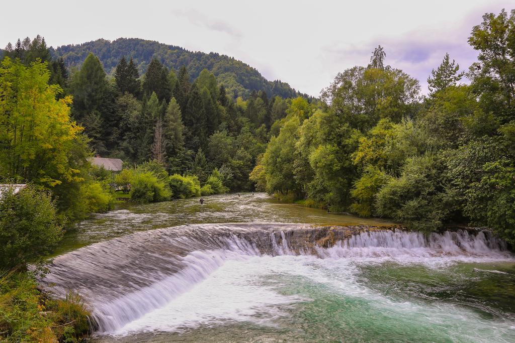 Brunarica Bled Zatrnik Pokljuka Exteriér fotografie